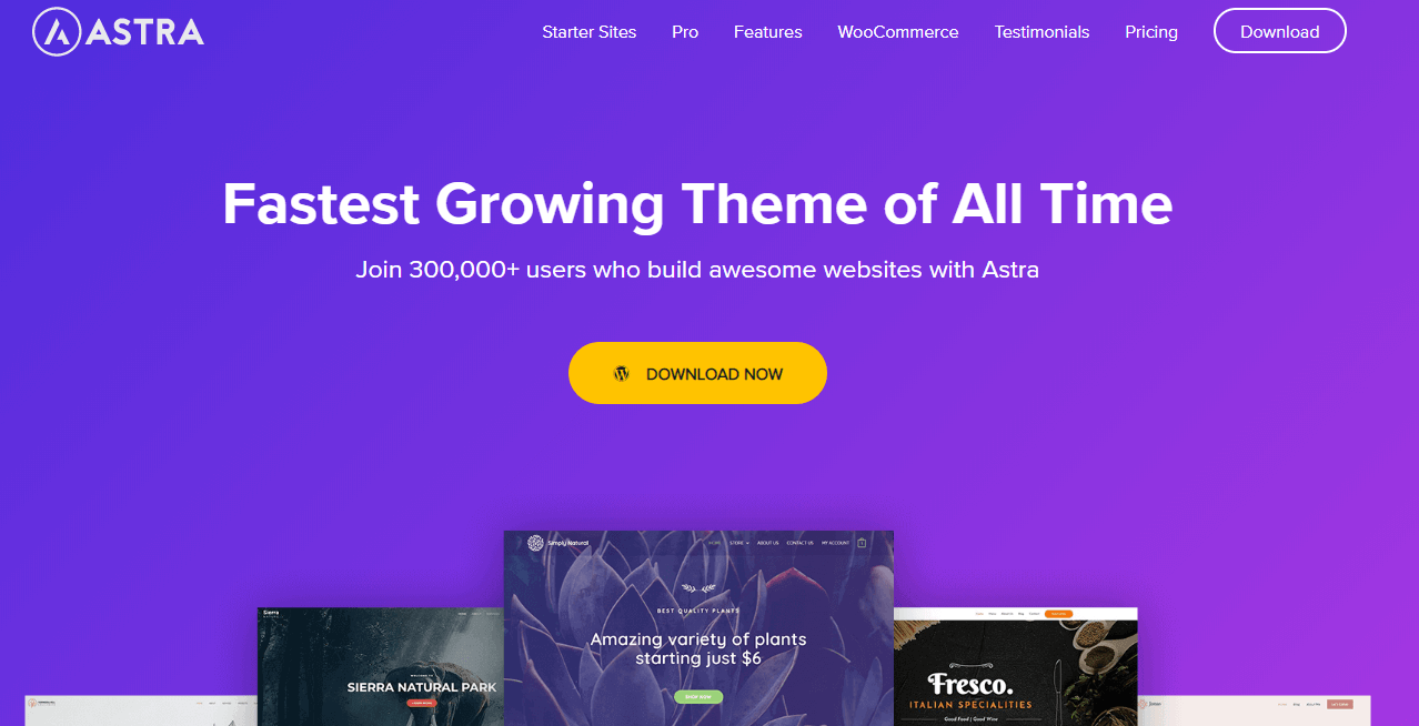 Astra- best theme for Elementor