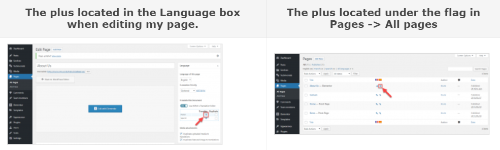 appearance-of-plus-button-multilingual-website