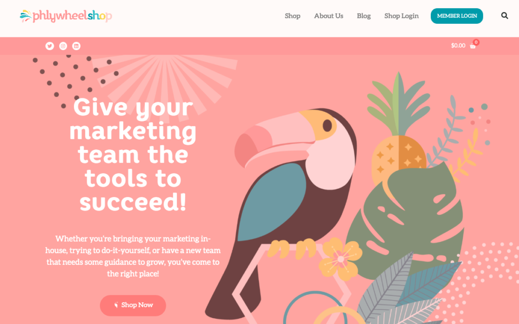 Top 10 Sites Built with Elementor Page Builder 6 The Plywheel Shop