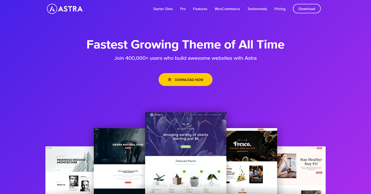 astra-wordpress-starter-theme