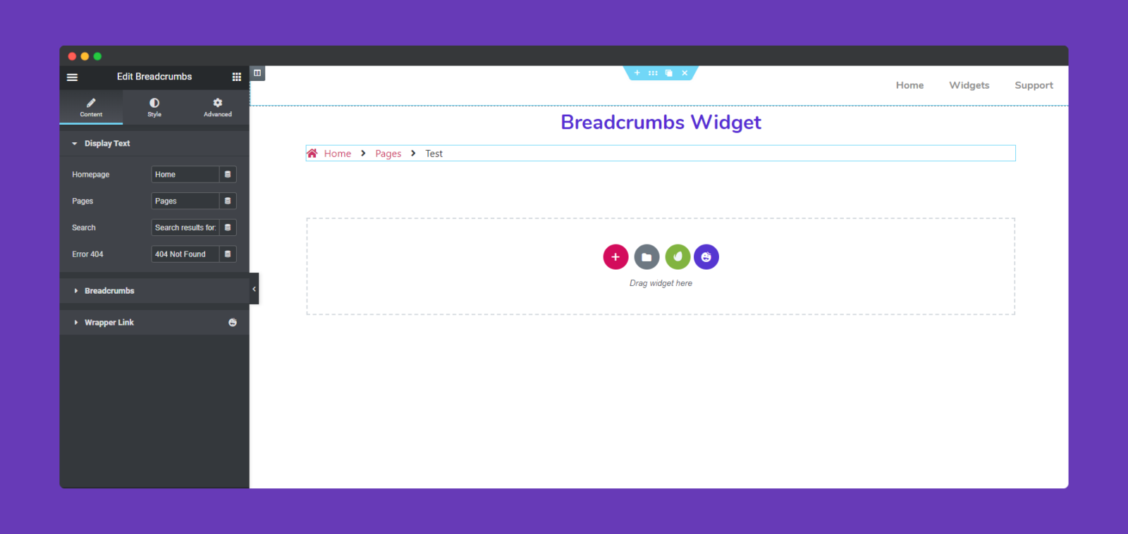 options of Breadcrumbs Widget