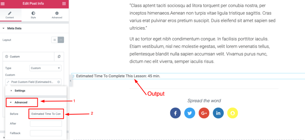 How to Create an Online Course Website in WordPress Using Elementor (Tutorial & Pre-Planning Guide) 22 Add a label to your custom field
