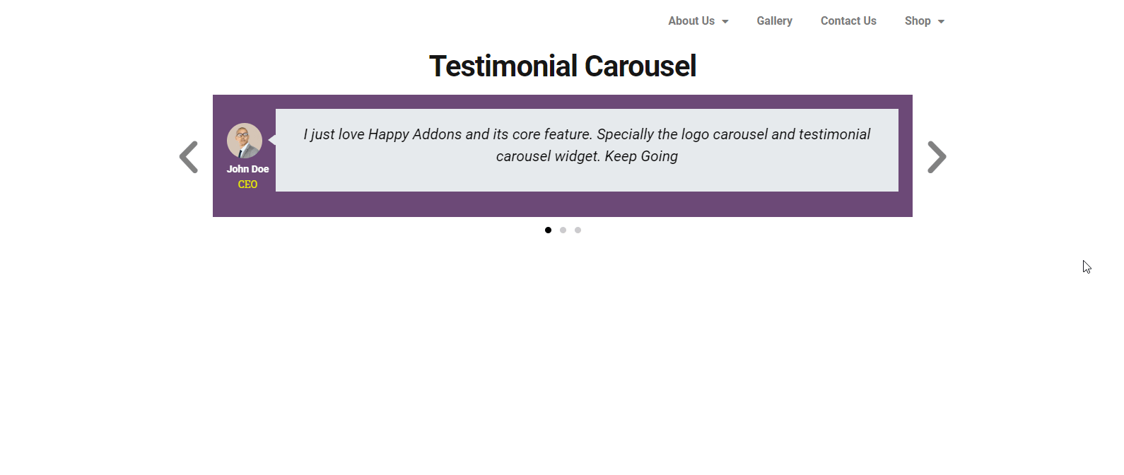 Testimonial Carousel