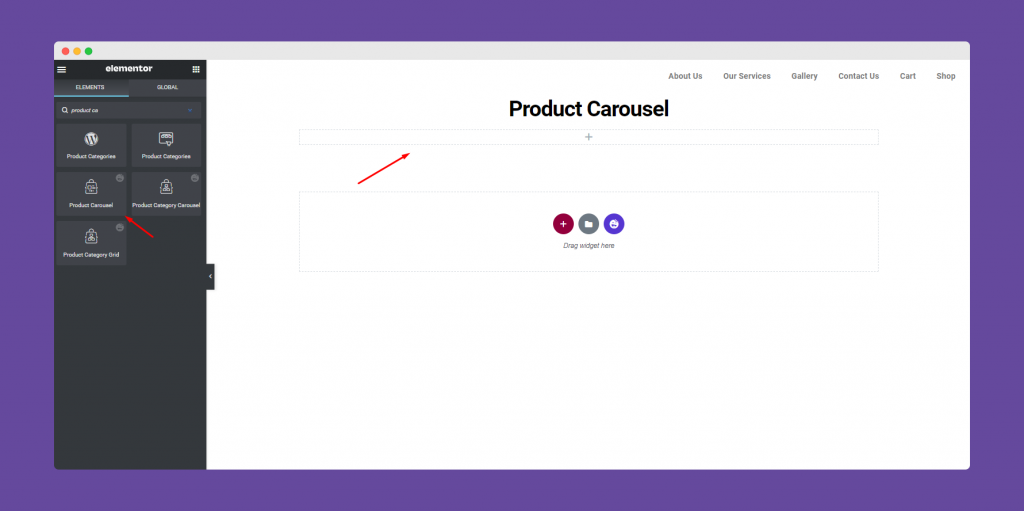 Product Carousel