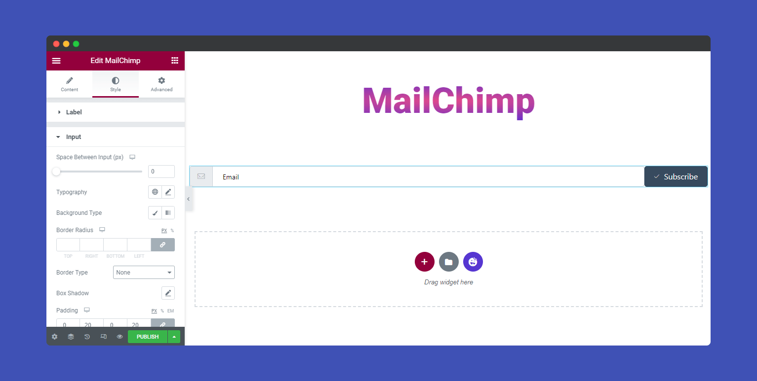 Style MailChimp Input