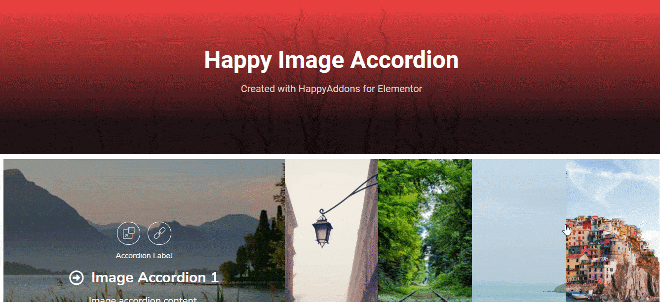 The final preview of the Image Accordion widget