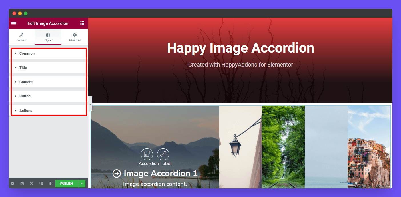 Style Options of Image Accordion