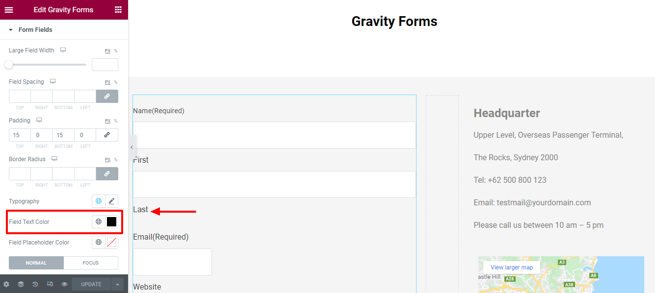 Style Form Field Text Color