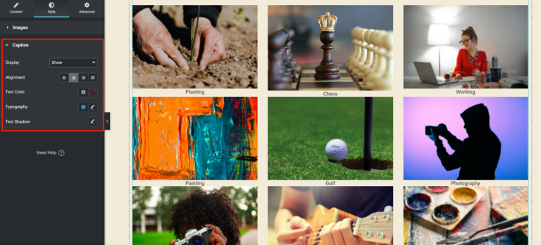 How To Smartly Use Elementor Image Gallery - Happy Addons