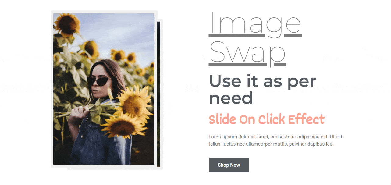 Final Preview of Image Swap