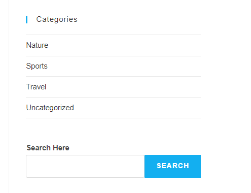 Add search bar to WordPress site