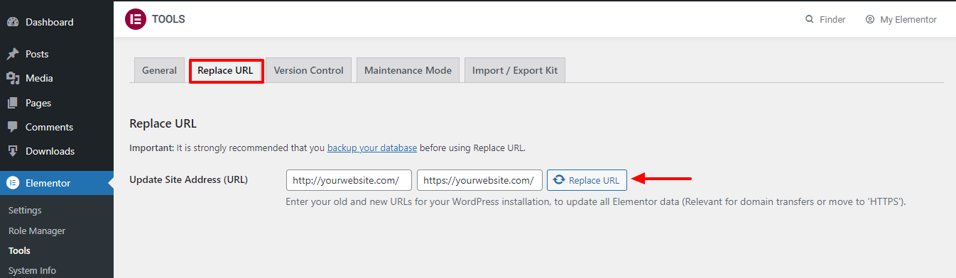 Elementor Replace URL Settings