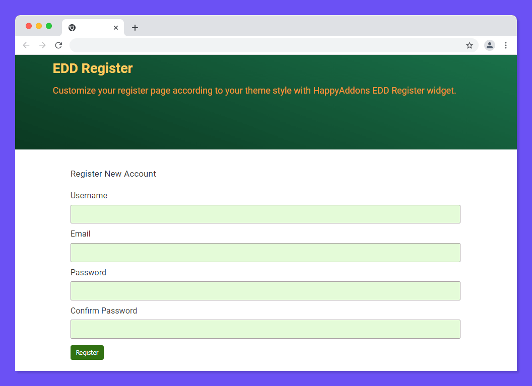 Final Preview of Register Form Design