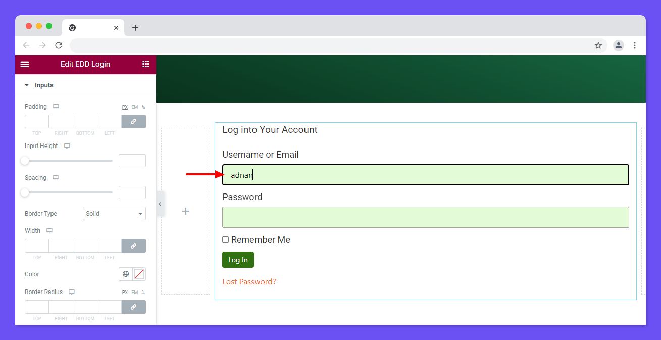 Style Form Inputs