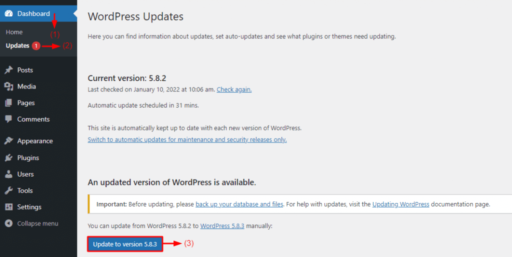How to Install the Latest Version of WordPress