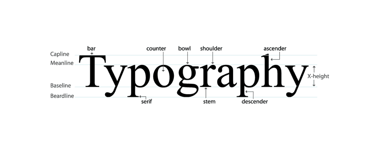 Common Typography Elements in Web Design