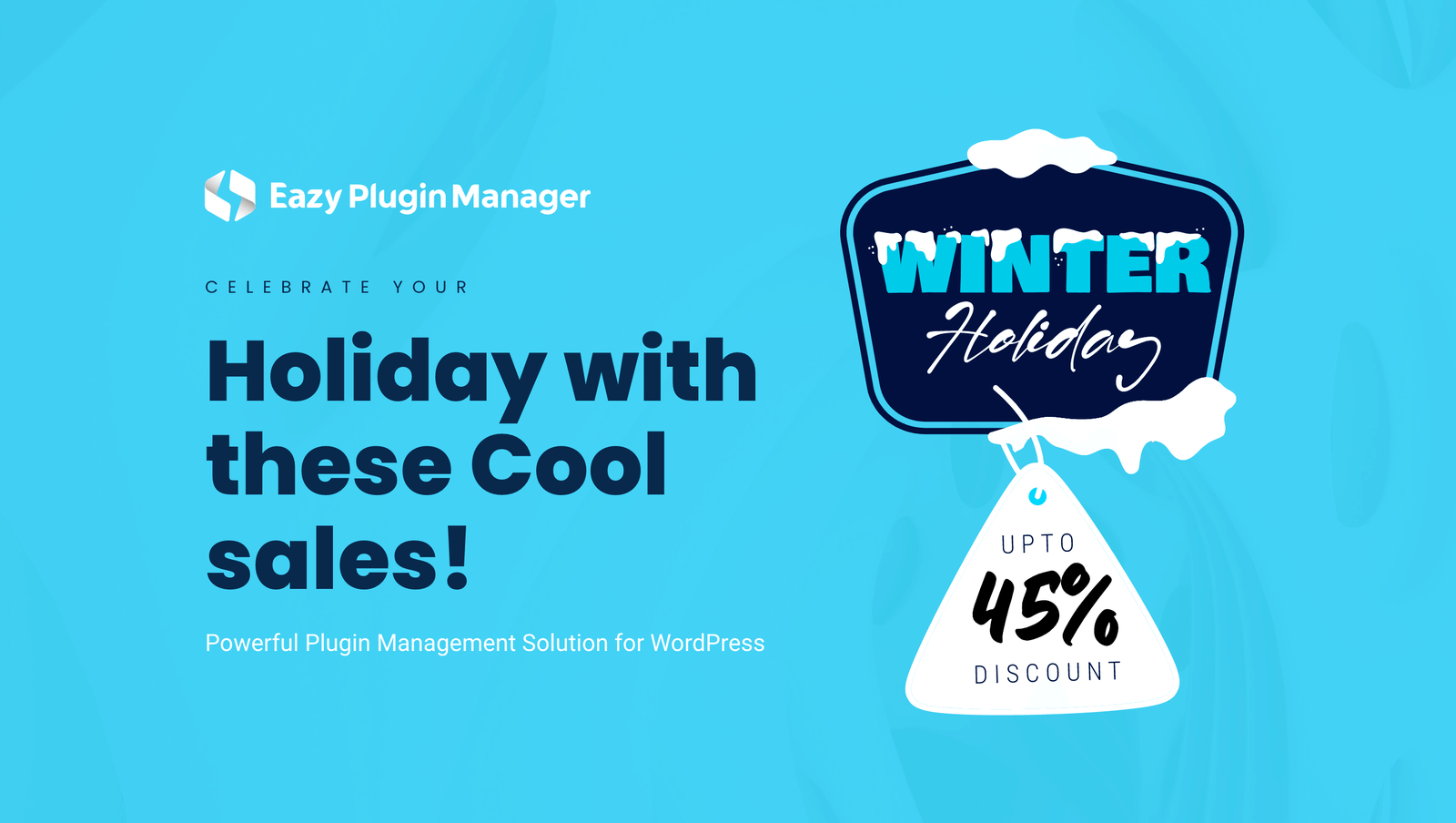 Holiday Deal 2022 from Eazy Plugin Manager