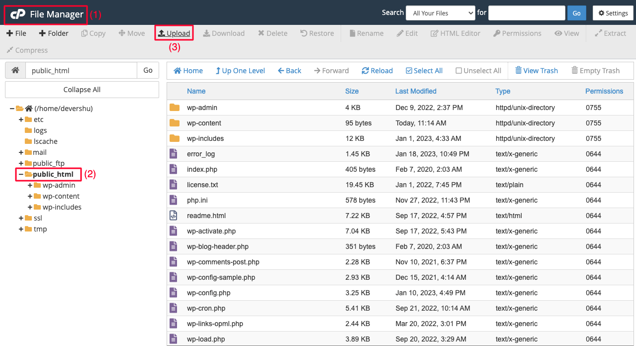 Upload XML Sitemap to Domain Root File