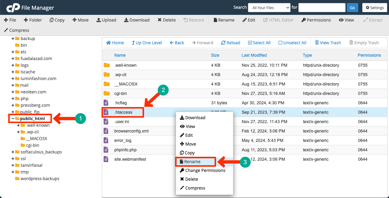 Rename the htaccess file on WordPress