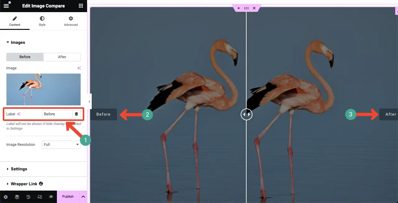 Add label to the Image Compare widget