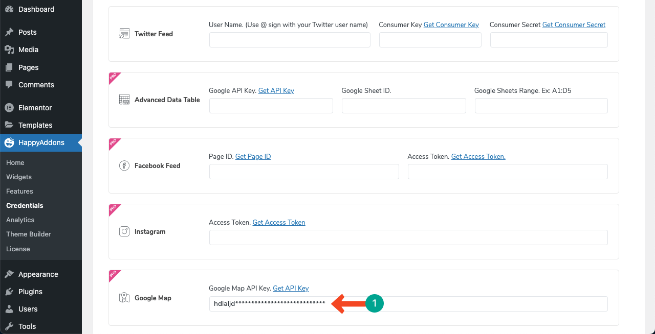 Copy-paste the Google Map's API key