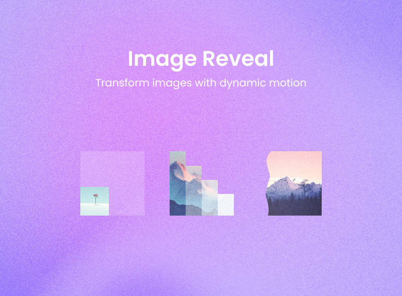 image reveal 1 1