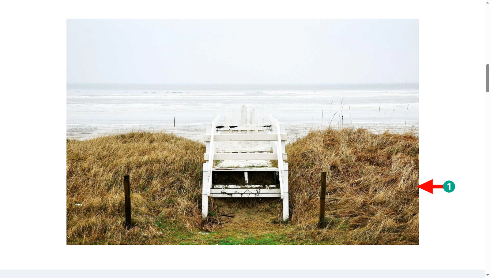 Image reveal effect on a portfolio photograph on the frontend